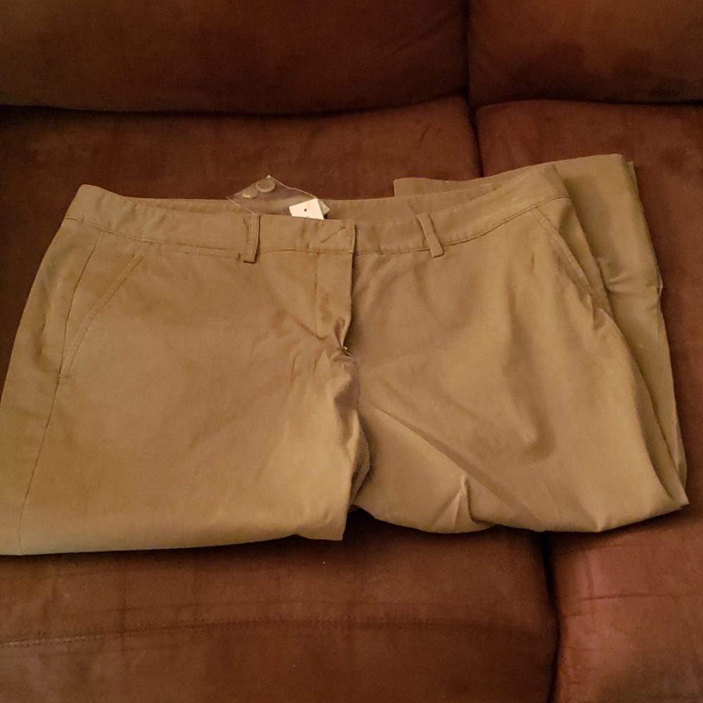 Theory Green Capris